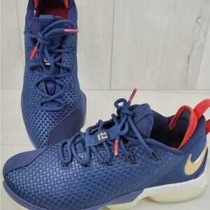 Nike LeBron James XIV USA Basketball Shoes